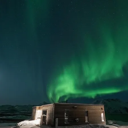 Fjordview Arctic With Sauna And Jacuzzi Lyngværet